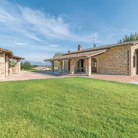 Il Vigneto