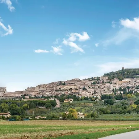 Il Vigneto * Torgiano