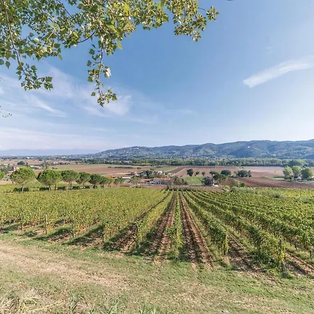 Il Vigneto Holiday home