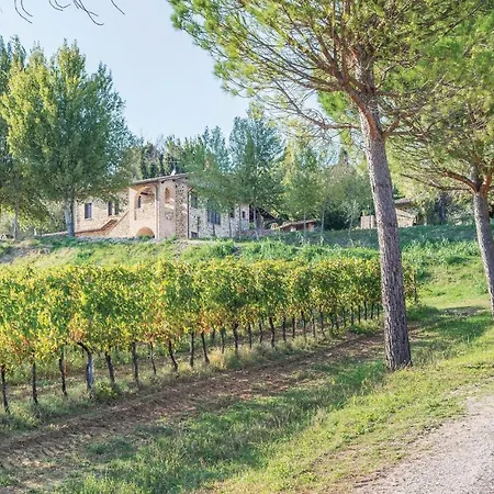Il Vigneto *