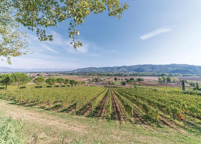 Il Vigneto Prázdninový dům